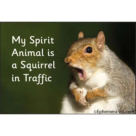 Magnet - Squirrel in Traffic