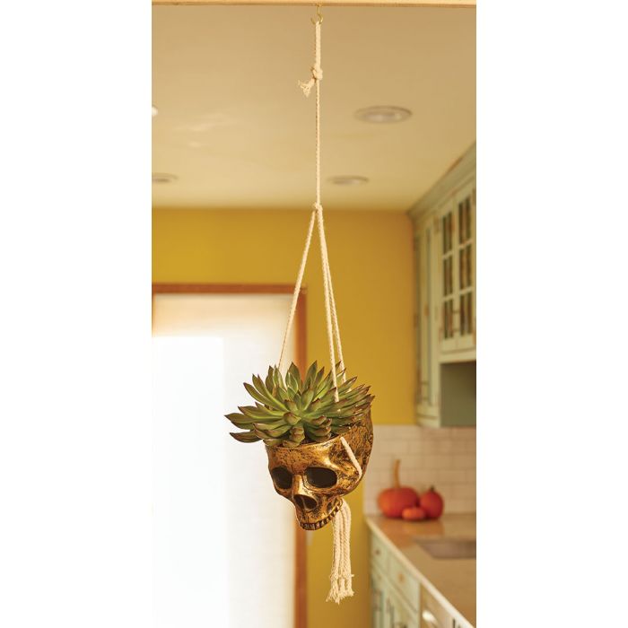 Hanging Skull Planter - Gold