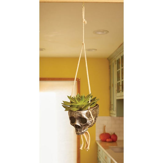 Hanging Skull Planter - Silver