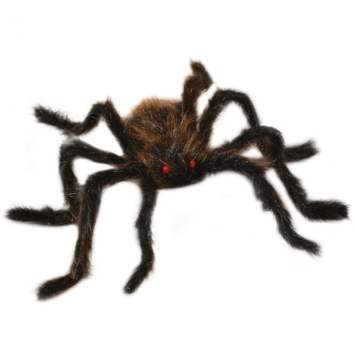 20" Hairy Spider