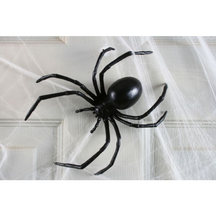 6" Black Widow Spider