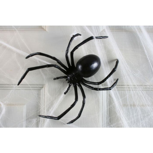 6" Black Widow Spider