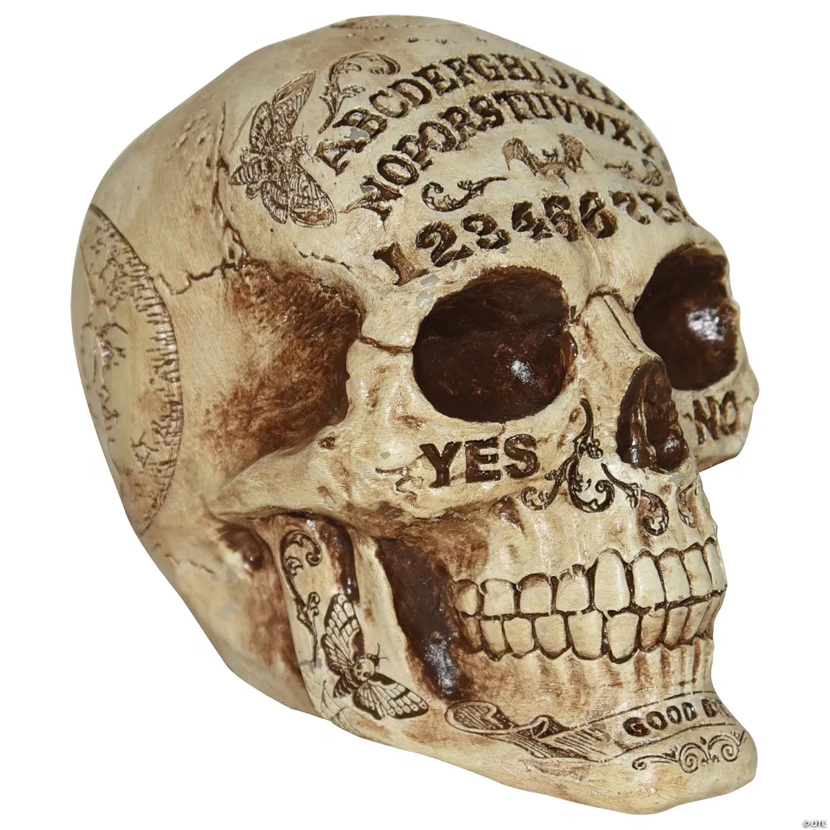 Fortune Telling Skull Halloween Decoration