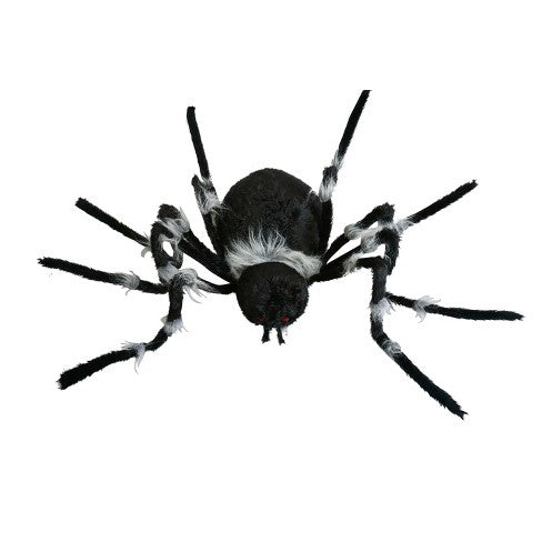 Gigantic Spider