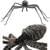 34" Grey Spider