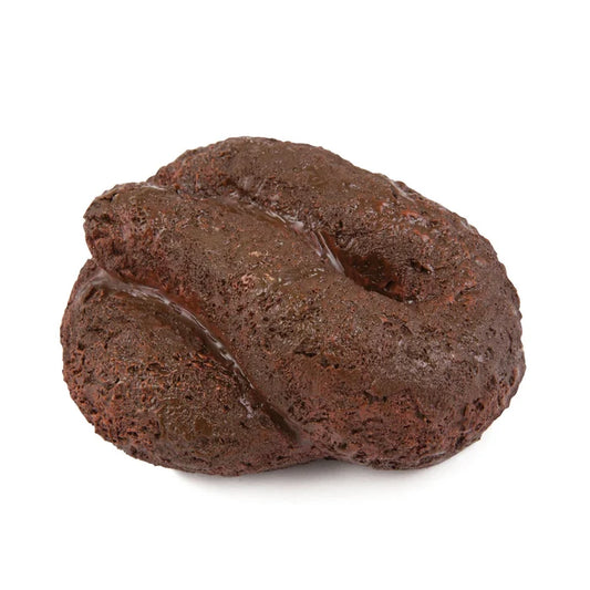 Busters Hide-A-Key Dog Poop