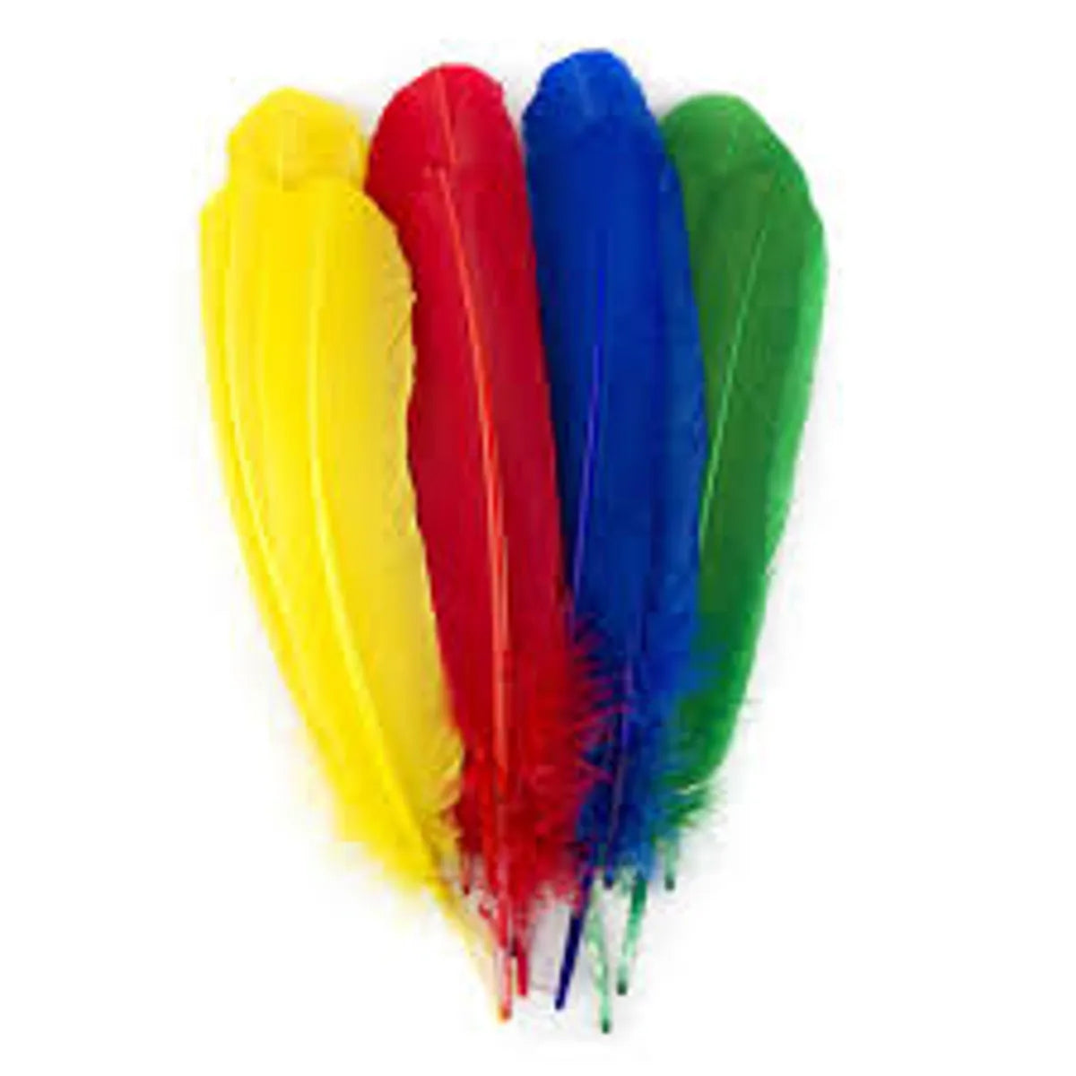 Bag of Feathers - Turkey Quills 6pk