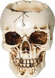 Cracked Skull Vase
