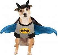 Dog Costume - Batman