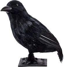 Black Crow Statue