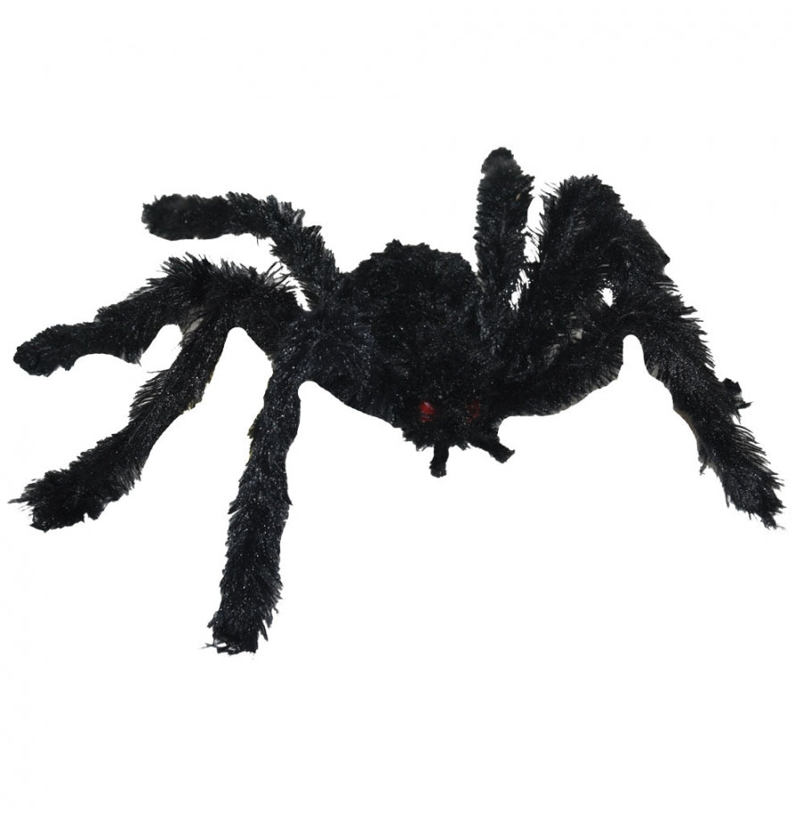 Fuzzy Black Spider