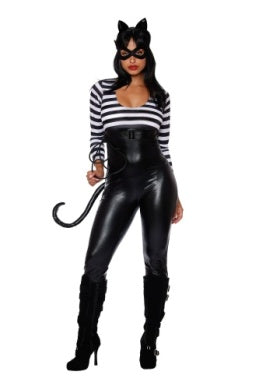 Cat Burglar
