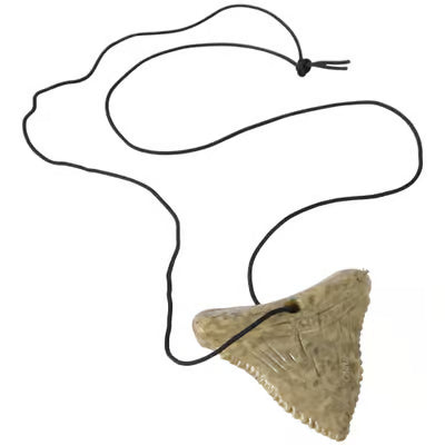 Shark Tooth Necklace