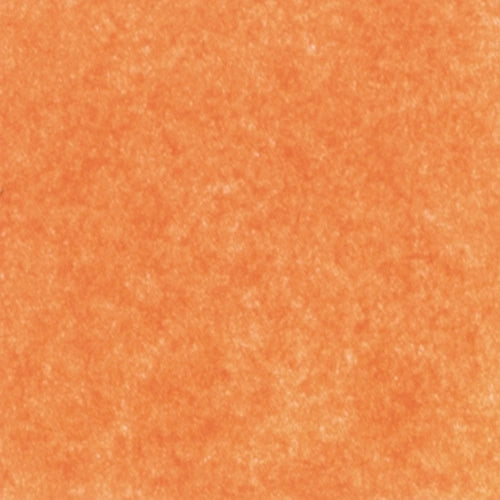 Tissue Paper - Orange 5ct