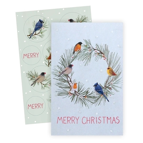 Boxed Cards - Birds All Around 6ct