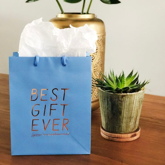 Gift Bag - Best Gift Ever