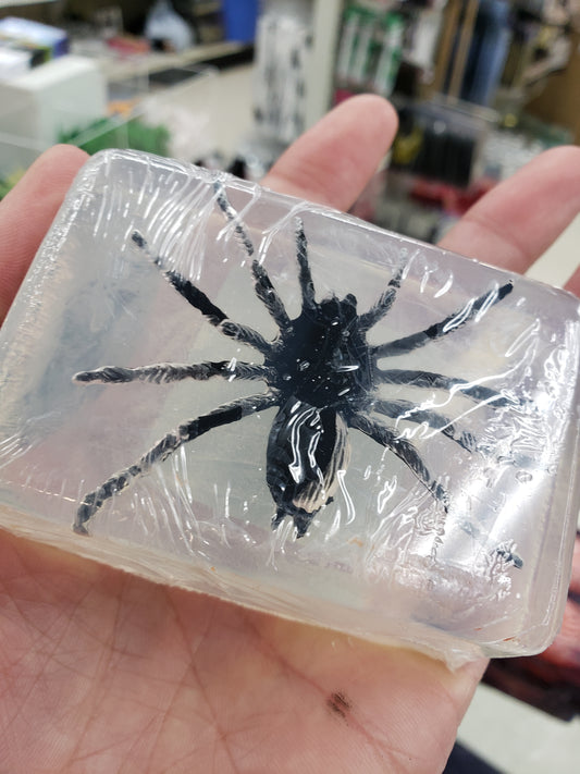 Soap - Spider