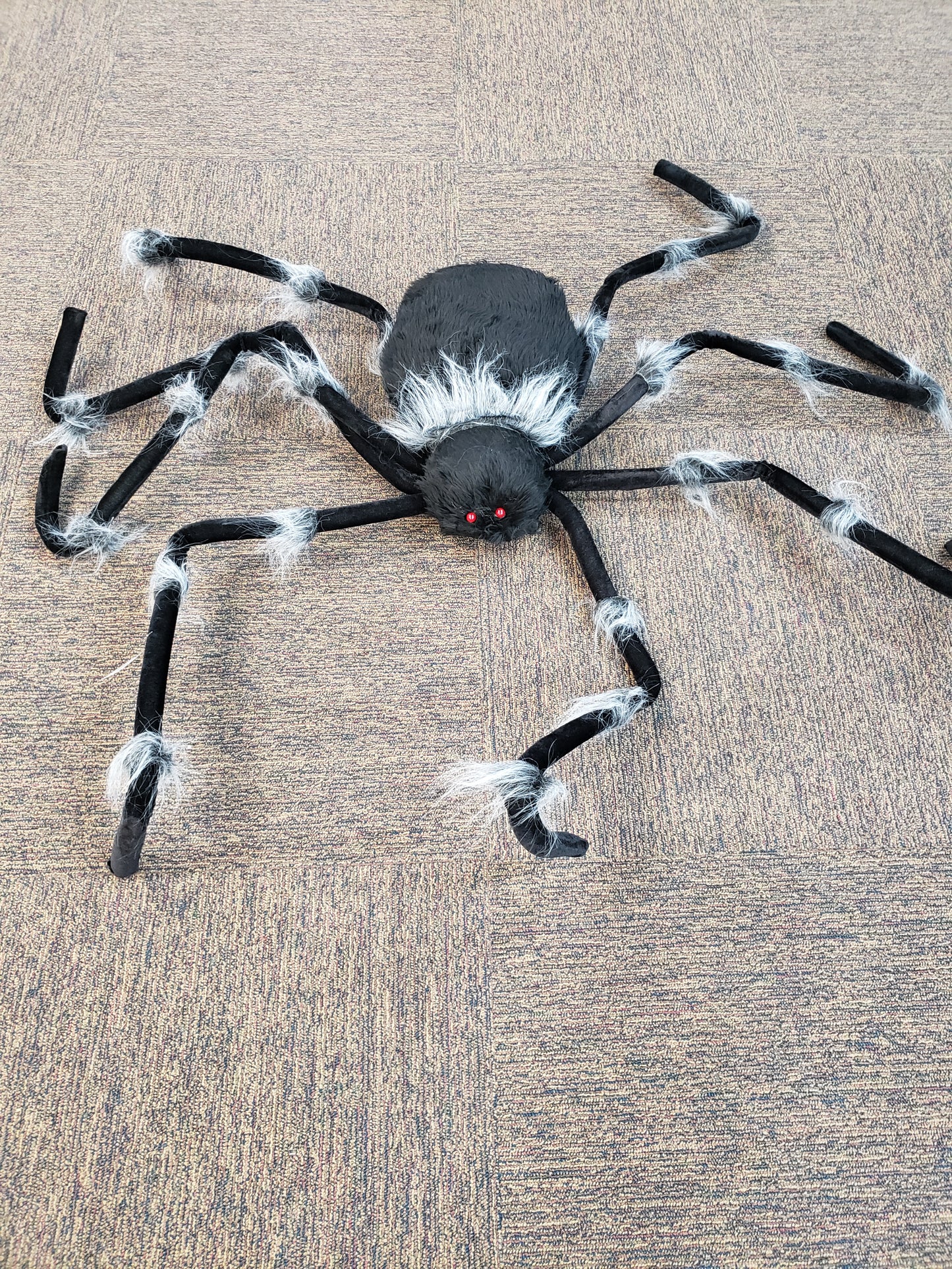 Grey Trim Spider - 72in