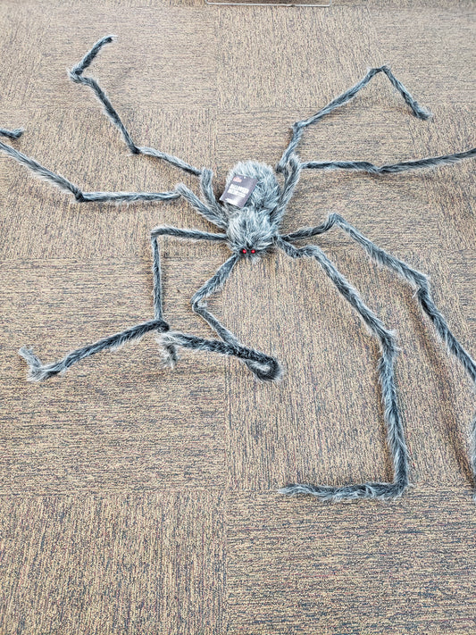 Large Grey Spider
