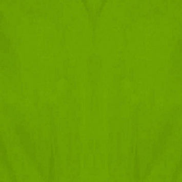 Tissue Paper - Citrus 8ct