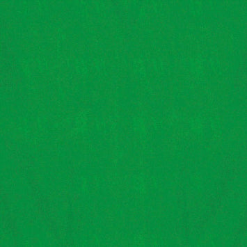 Tissue Paper - Green 8ct