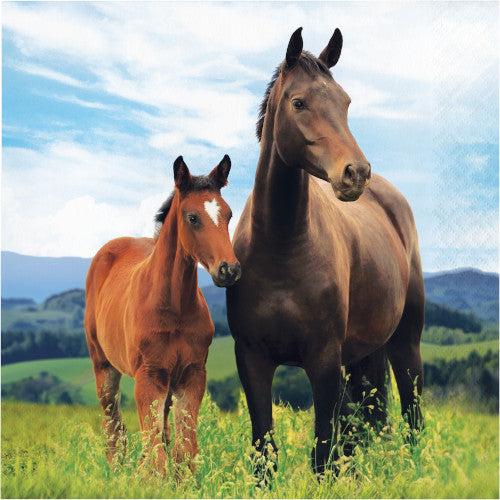 Lunch Napkins - Horse and Pony 16ct