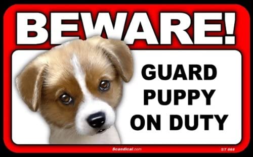 Beware! - Puppy