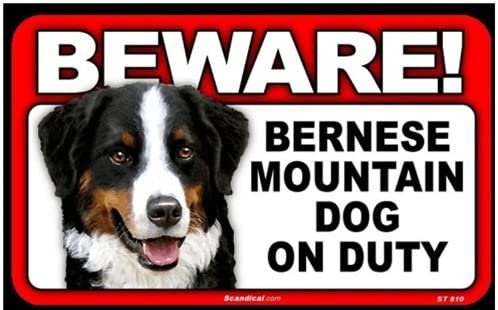 Beware! - Mountain Dog