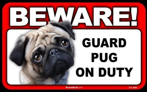 Beware! - Pug