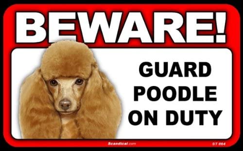 Beware! - Poodle