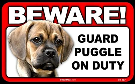 Beware! - Puggle