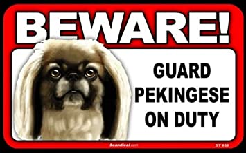 Beware! - Pekingese