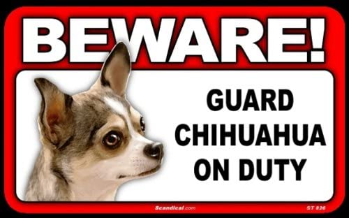 Beware! - Chihuahua (Multi Colored)