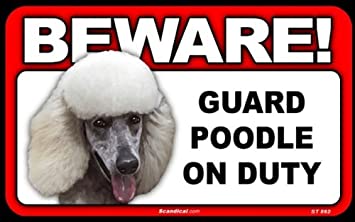 Beware! - Poodle