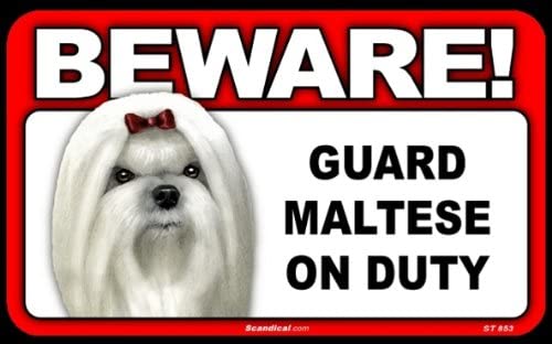 Beware! - Maltese