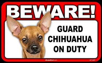 Beware! - Chihuahua (Tan)