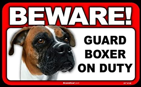Beware! - Boxer