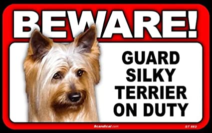 Beware! - Silky Terrier