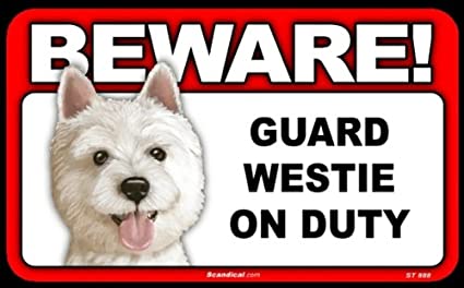 Beware! - Westie