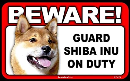 Beware! - Shiba Inu