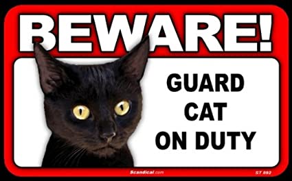 Beware! - Black Cat