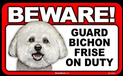 Beware! - Bichon Frise