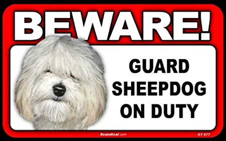 Beware! - Sheepdog