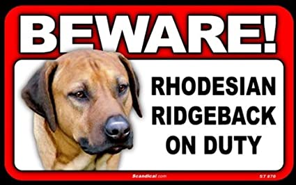 Beware! - Rhodesian Ridgeback