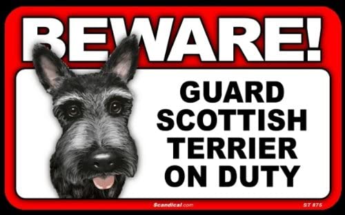 Beware! - Scottish Terrier