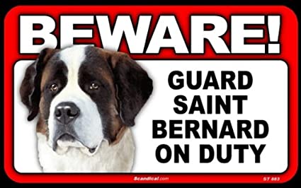 Beware! - Saint Bernard