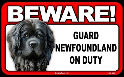 Beware! - Newfoundland