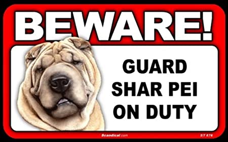 Beware! - Shar Pei