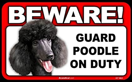 Beware! - Poodle