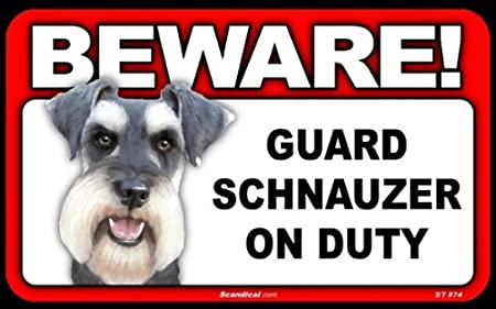 Beware! - Schnauzer